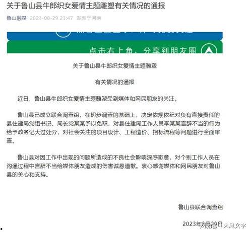 鲁山爆料者最新回应新闻,揭秘事件真相与后续发展  第3张