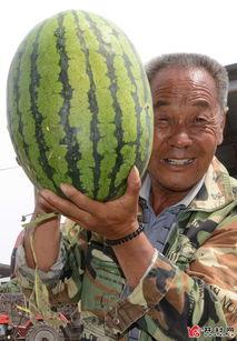 武安吃瓜爆料最新,揭秘娱乐圈最新热点事件  第1张