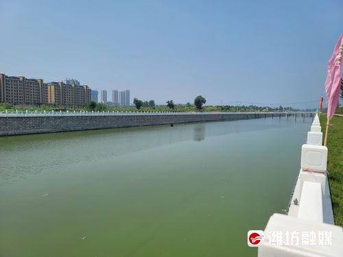 安丘最新爆料,揭秘背后惊人真相  第2张